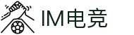 IM(股份有限公司)电竞-电子竞技平台